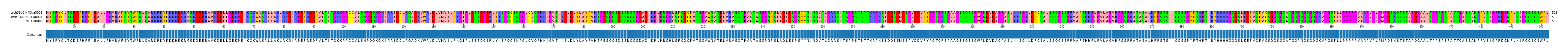 Multiple Alignments (by translate haplotype similarity)