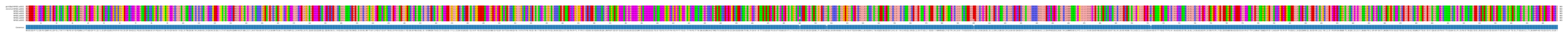 Multiple Alignments (by translate haplotype frequency)