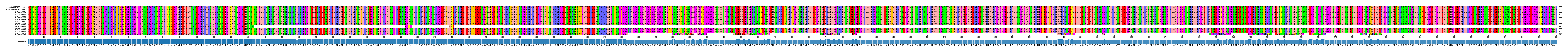 Multiple Alignments (by translate haplotype frequency)