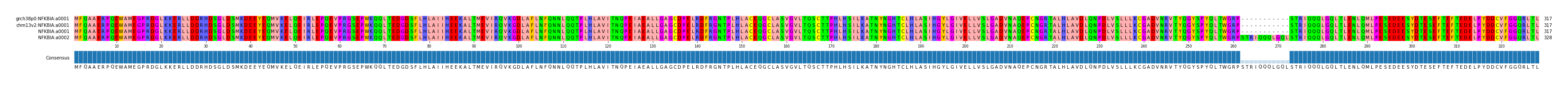 Multiple Alignments (by translate haplotype similarity)