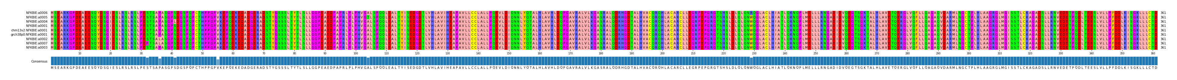 Multiple Alignments (by translate haplotype similarity)