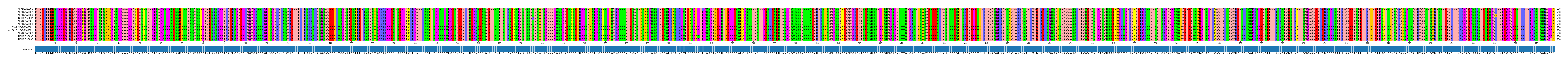 Multiple Alignments (by translate haplotype similarity)