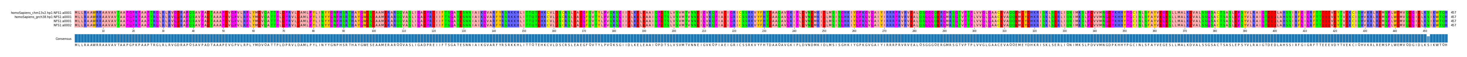 Multiple Alignments (by translate haplotype similarity)