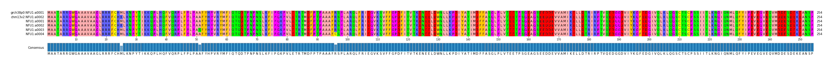 Multiple Alignments (by translate haplotype frequency)