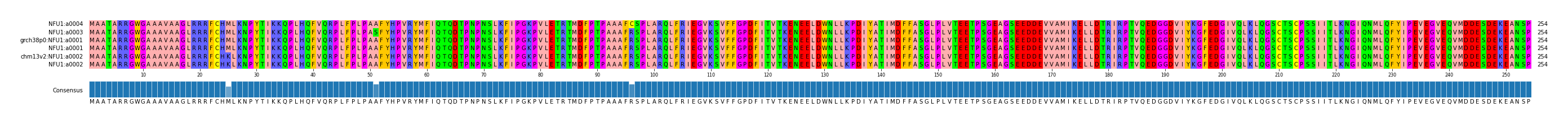 Multiple Alignments (by translate haplotype similarity)
