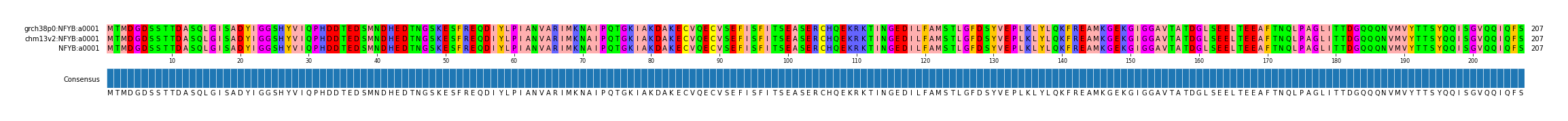 Multiple Alignments (by translate haplotype similarity)