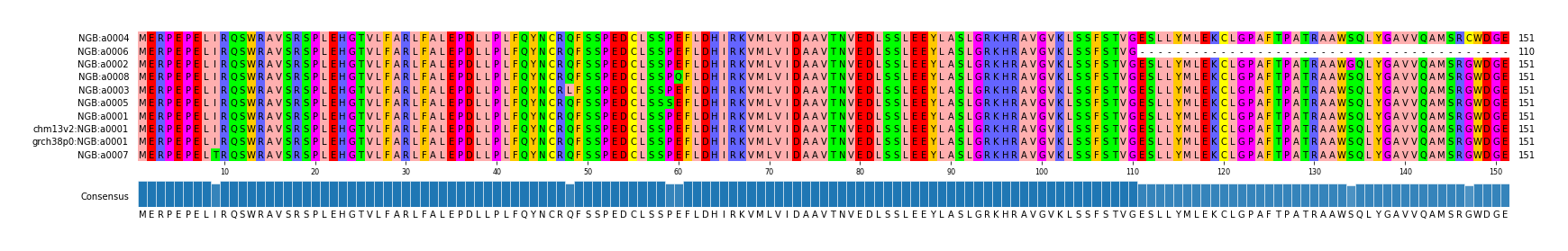 Multiple Alignments (by translate haplotype similarity)