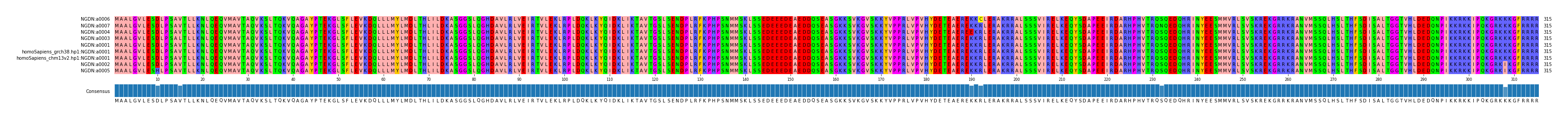 Multiple Alignments (by translate haplotype similarity)