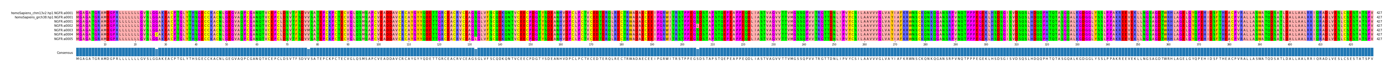 Multiple Alignments (by translate haplotype frequency)