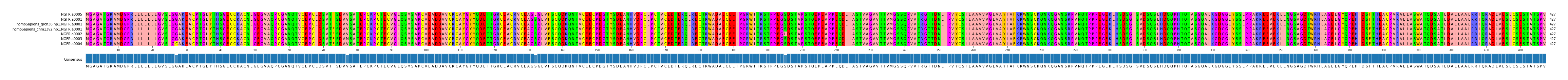 Multiple Alignments (by translate haplotype similarity)