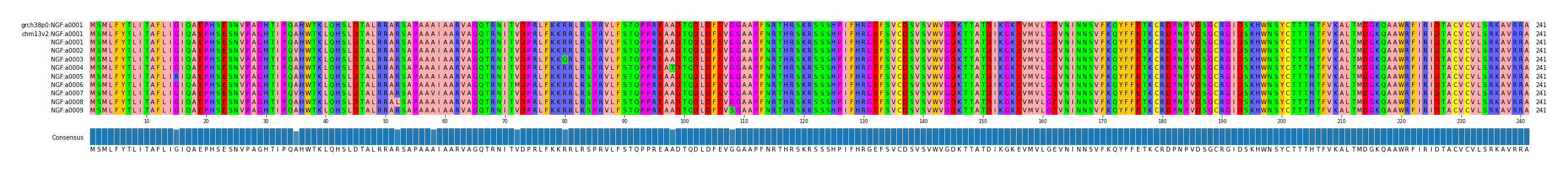 Multiple Alignments (by translate haplotype frequency)