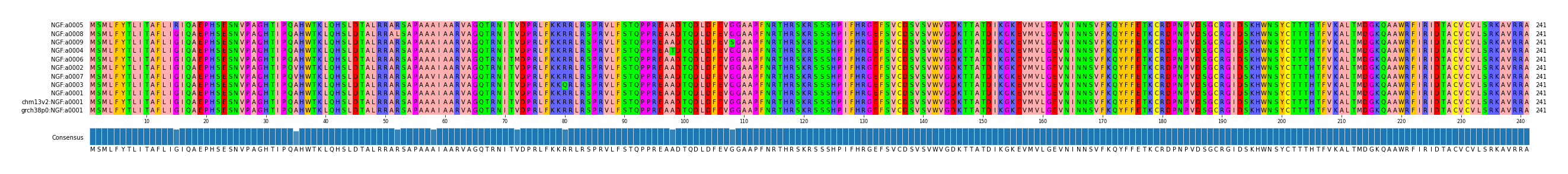 Multiple Alignments (by translate haplotype similarity)