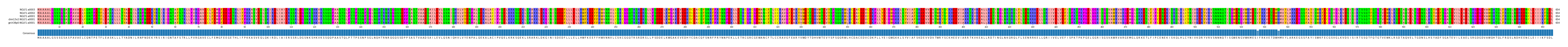 Multiple Alignments (by translate haplotype similarity)