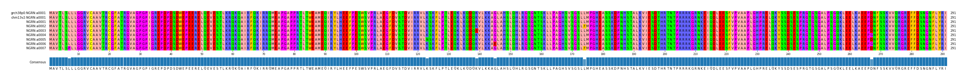 Multiple Alignments (by translate haplotype frequency)