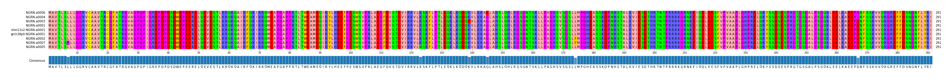 Multiple Alignments (by translate haplotype similarity)