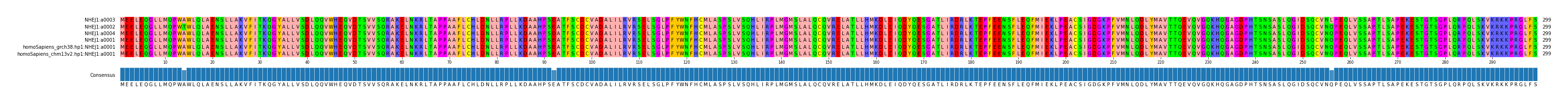 Multiple Alignments (by translate haplotype similarity)