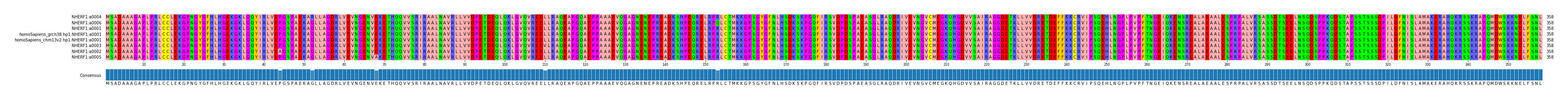 Multiple Alignments (by translate haplotype similarity)