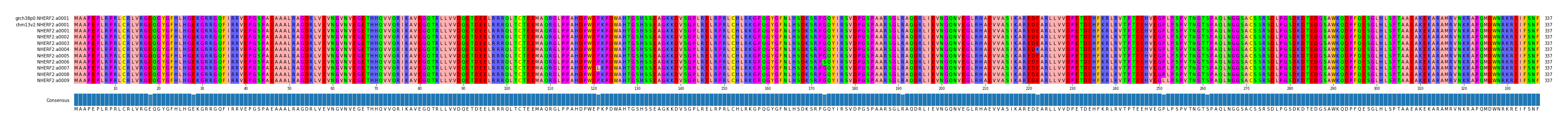 Multiple Alignments (by translate haplotype frequency)