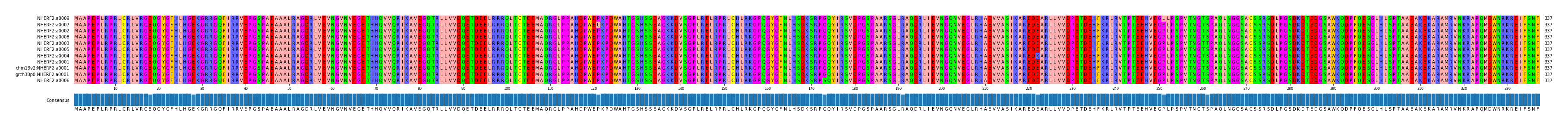 Multiple Alignments (by translate haplotype similarity)