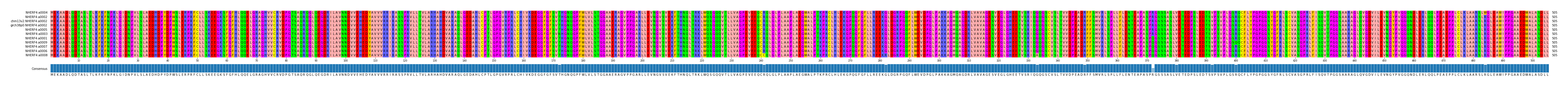 Multiple Alignments (by translate haplotype similarity)
