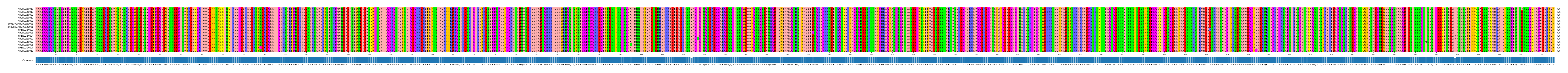 Multiple Alignments (by translate haplotype similarity)