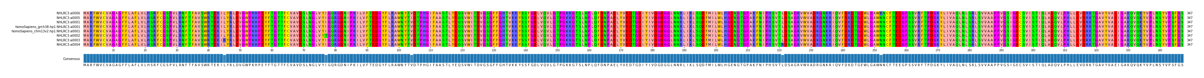 Multiple Alignments (by translate haplotype similarity)