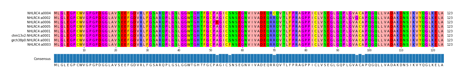 Multiple Alignments (by translate haplotype similarity)