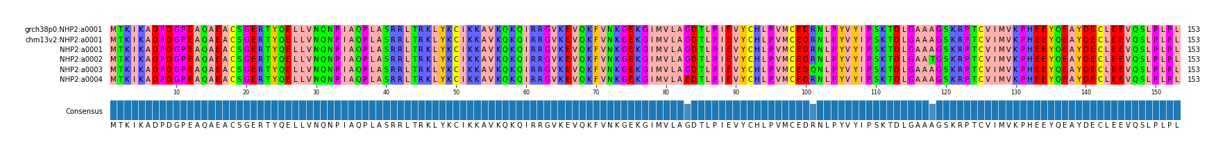 Multiple Alignments (by translate haplotype frequency)