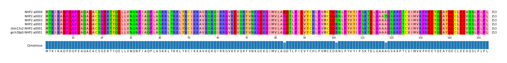 Multiple Alignments (by translate haplotype similarity)