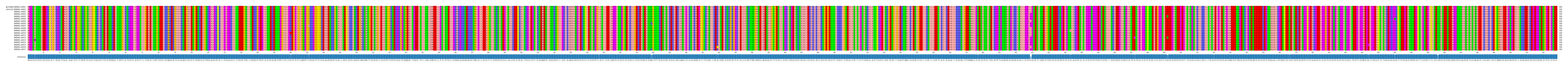 Multiple Alignments (by translate haplotype frequency)
