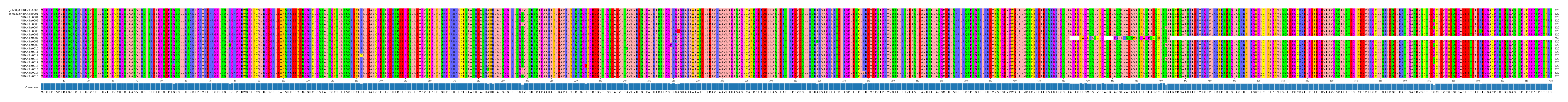 Multiple Alignments (by translate haplotype frequency)