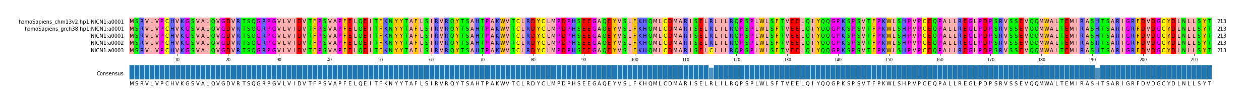 Multiple Alignments (by translate haplotype frequency)