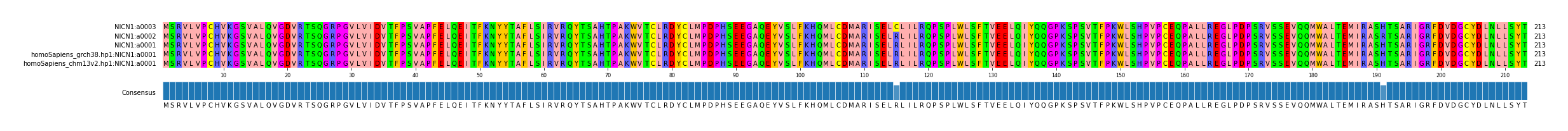Multiple Alignments (by translate haplotype similarity)