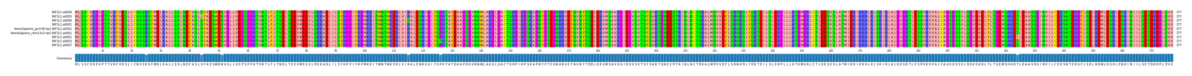 Multiple Alignments (by translate haplotype similarity)