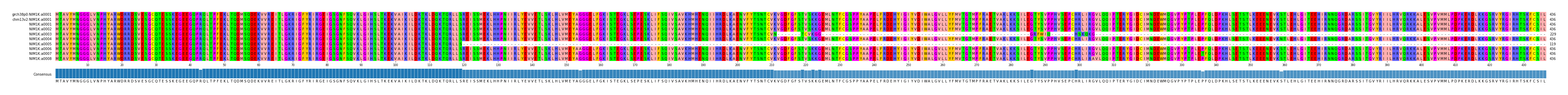 Multiple Alignments (by translate haplotype frequency)