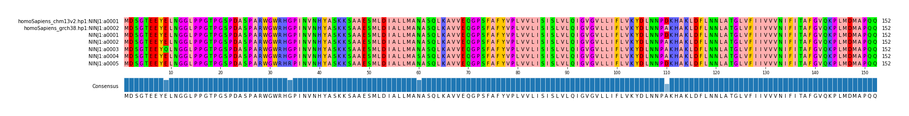 Multiple Alignments (by translate haplotype frequency)
