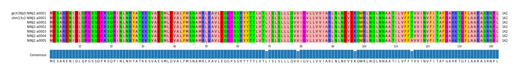 Multiple Alignments (by translate haplotype frequency)