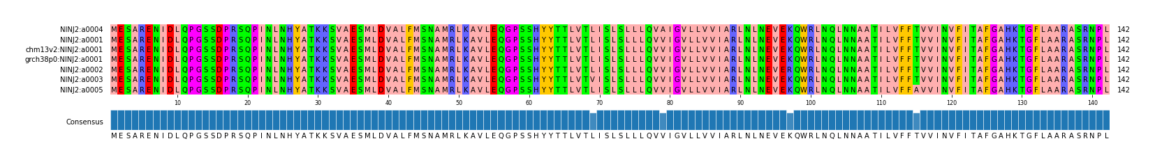 Multiple Alignments (by translate haplotype similarity)