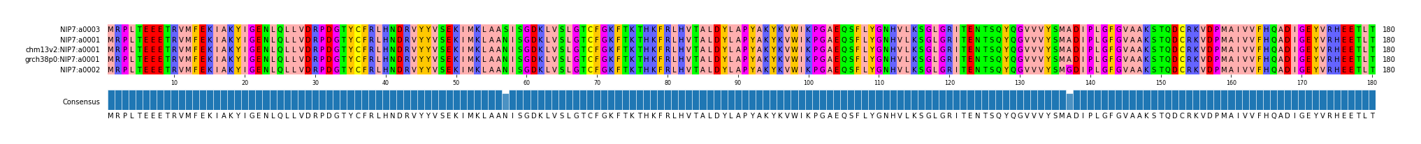 Multiple Alignments (by translate haplotype similarity)