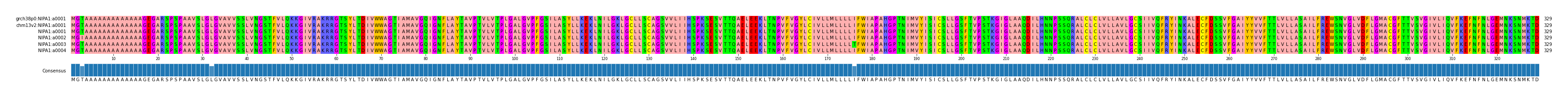 Multiple Alignments (by translate haplotype frequency)