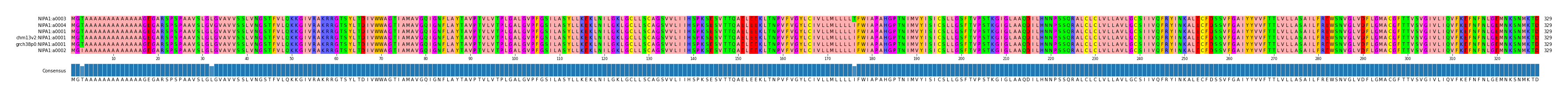 Multiple Alignments (by translate haplotype similarity)