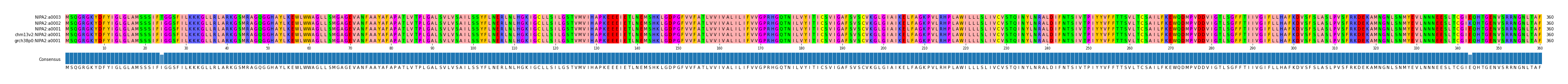 Multiple Alignments (by translate haplotype similarity)