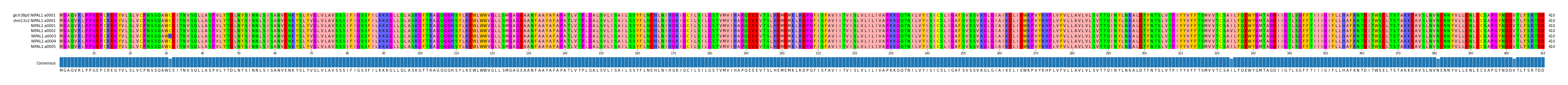 Multiple Alignments (by translate haplotype frequency)