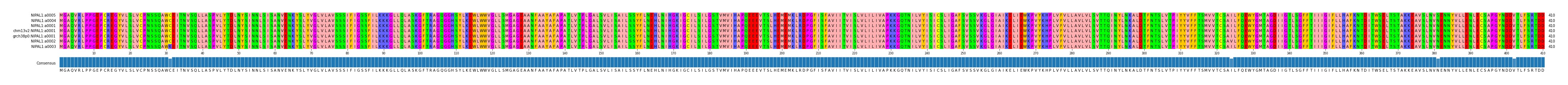 Multiple Alignments (by translate haplotype similarity)