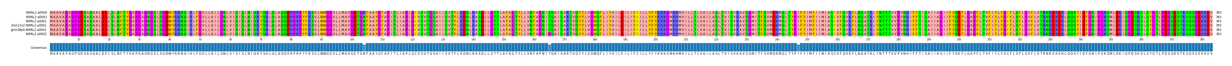Multiple Alignments (by translate haplotype similarity)