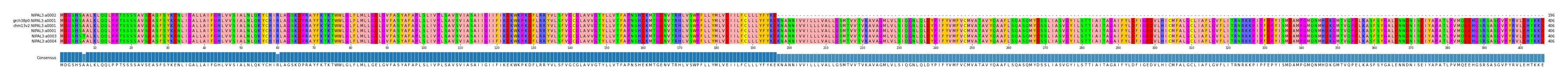 Multiple Alignments (by translate haplotype similarity)