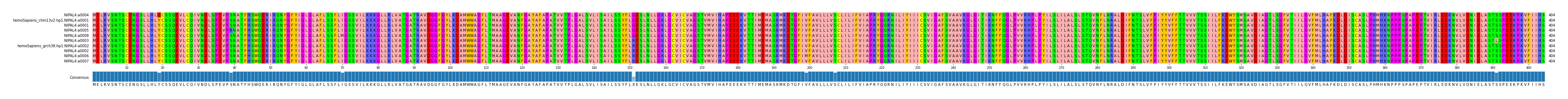Multiple Alignments (by translate haplotype similarity)