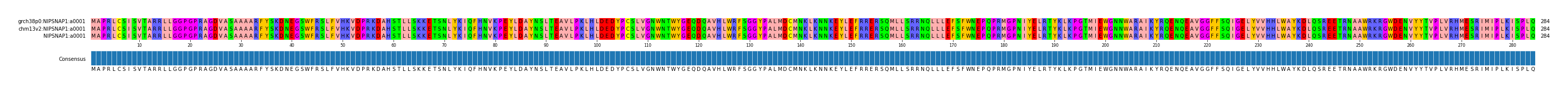 Multiple Alignments (by translate haplotype similarity)
