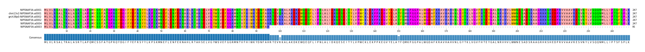 Multiple Alignments (by translate haplotype similarity)