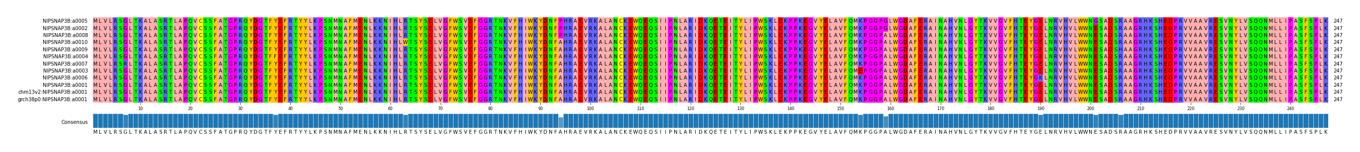 Multiple Alignments (by translate haplotype similarity)